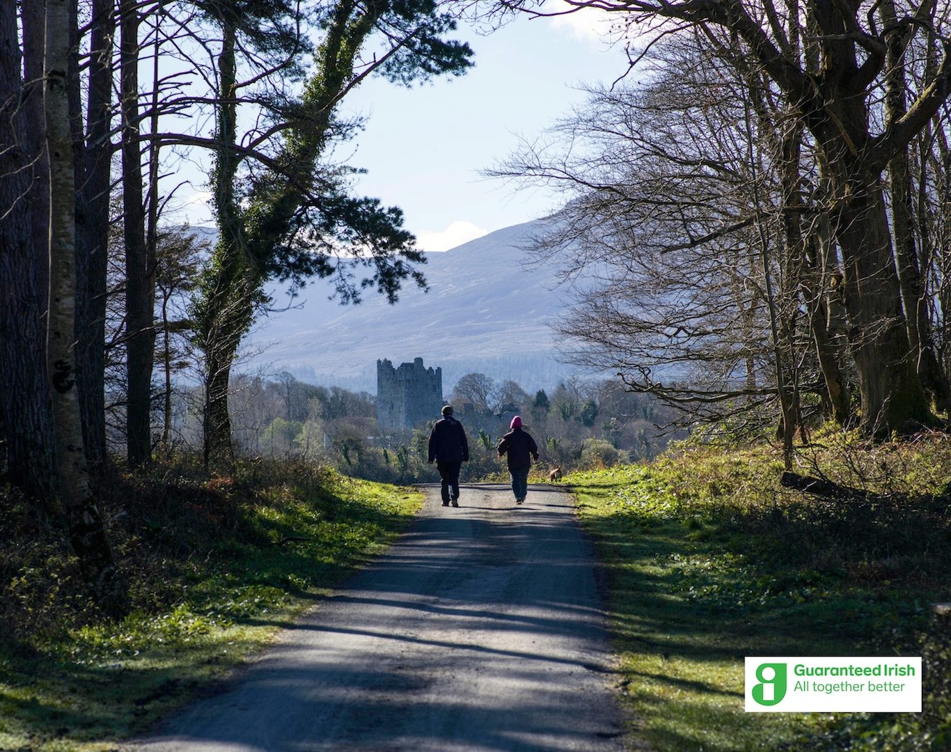 Walking in the Killarney Demesne near Ross Castle, Killarney, Co Kerry_master